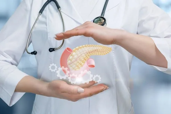 pancreas doctor medico