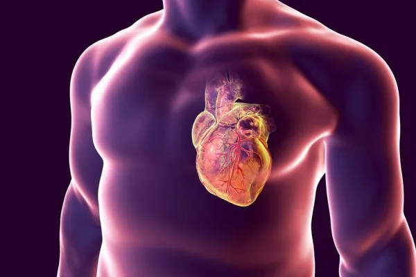 ilustracion corazon hombre