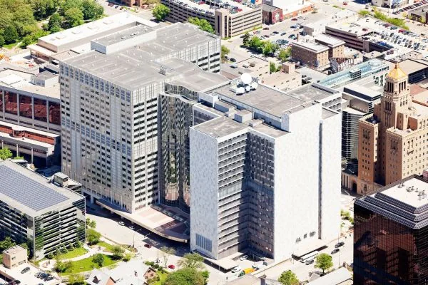 mayo clinic
