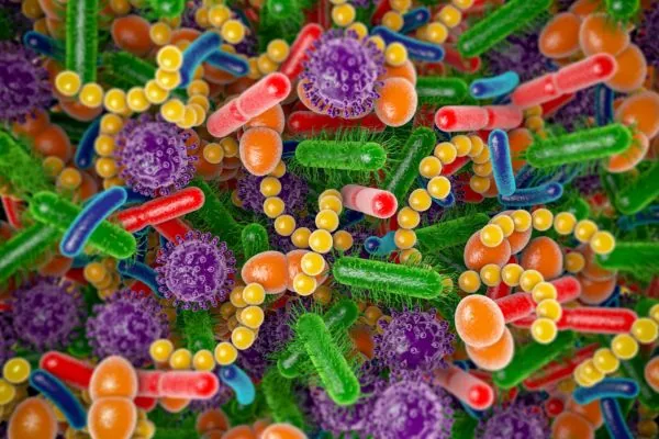 microbios